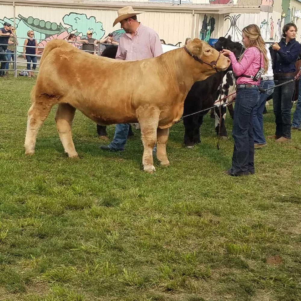 Meet your Posher, Baylee